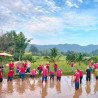 Chiang Mai: Rice Cultivation, Thai Cooking and Elephants