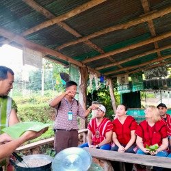 Chiang Mai: Rice Cultivation, Thai Cooking and Elephants