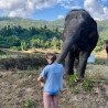 Chiang Mai: Rice Cultivation, Thai Cooking and Elephants