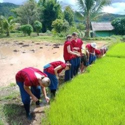 Chiang Mai: Elephants, Rice Cultivation, Thai Cooking, Sleep