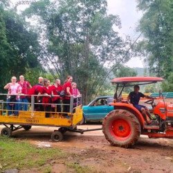 Chiang Mai: Elephants, Rice Cultivation, Thai Cooking, Sleep