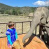 Tours éticos y ecológicos | interactuar con elefantes en Chiang Mai