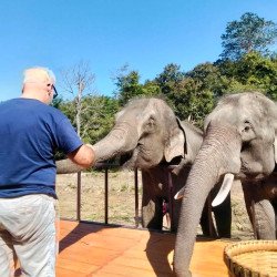 Tours éticos y ecológicos | interactuar con elefantes en Chiang Mai