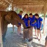 Demi-Journée Éléphants