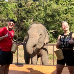 Half-day morning experience whit Elephants