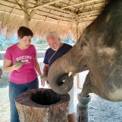 Half-day morning experience whit Elephants