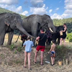 2-Day Chiang Mai Adventure: Elephants, Sleep & Doi Inthanon