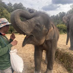 Cuevas + Trek + Elef