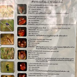 Grottes + Rando + Éléph