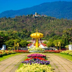 Doi Suthep y King Park