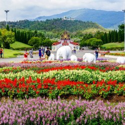 Doi Suthep et King Park