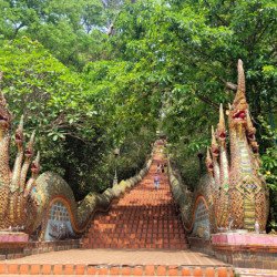 Doi Suthep y King Park