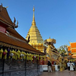 Doi Suthep et King Park