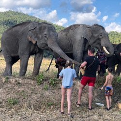 Tours éticos y ecológicos | interactuar con elefantes en Chiang Mai