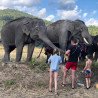 Tours éticos y ecológicos | interactuar con elefantes en Chiang Mai