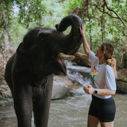 Tours éticos y ecológicos | interactuar con elefantes en Chiang Mai