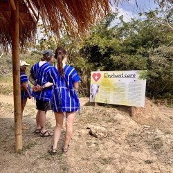 Tours éticos y ecológicos | interactuar con elefantes en Chiang Mai