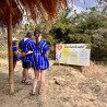 Interagir avec les éléphants à Chiang Mai | Circuits éthiques et respectueux de l'environnement
