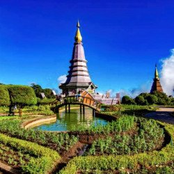 Elephants + Doi Inthanon Full Day Tour