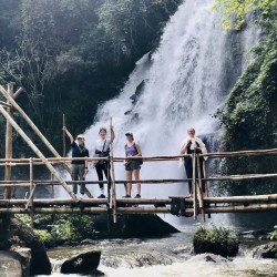 Elephants + Doi Inthanon Full Day Tour
