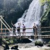 Elephants + Doi Inthanon Full Day Tour