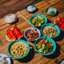 Tours éticos y ecológicos | interactuar con elefantes en Chiang Mai