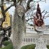 1 day Chiang Rai