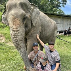 Half-day Afternoon Elephants Experience