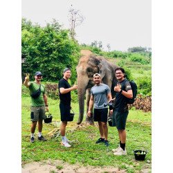 Full Day Elephants