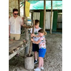 Full Day Elephants