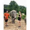 Elephants + Doi Inthanon Full Day Tour