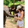 Elephants + Doi Inthanon Full Day Tour