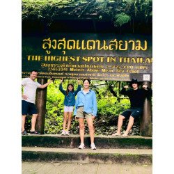 Elephants + Doi Inthanon Full Day Tour