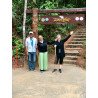 Elephants + Doi Inthanon Full Day Tour