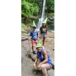 Interact with Elephants in Chiang Mai | Ethical & Eco-Friendly Tours