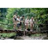 Interact with Elephants in Chiang Mai | Ethical & Eco-Friendly Tours