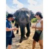 Interact with Elephants in Chiang Mai | Ethical & Eco-Friendly Tours