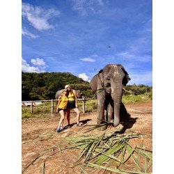 Interact with Elephants in Chiang Mai | Ethical & Eco-Friendly Tours