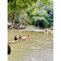 Interact with Elephants in Chiang Mai | Ethical & Eco-Friendly Tours