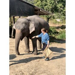 Tours éticos y ecológicos | interactuar con elefantes en Chiang Mai