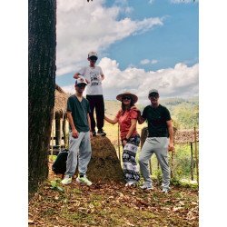 Interact with Elephants in Chiang Mai | Ethical & Eco-Friendly Tours