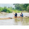 Interact with Elephants in Chiang Mai | Ethical & Eco-Friendly Tours