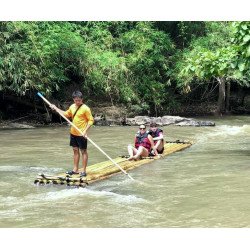 Interact with Elephants in Chiang Mai | Ethical & Eco-Friendly Tours