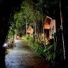 Tours éticos y ecológicos | interactuar con elefantes en Chiang Mai