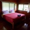 Tours éticos y ecológicos | interactuar con elefantes en Chiang Mai