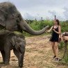 Tours éticos y ecológicos | interactuar con elefantes en Chiang Mai