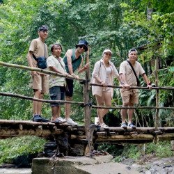 Tours éticos y ecológicos | interactuar con elefantes en Chiang Mai