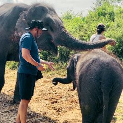 Tours éticos y ecológicos | interactuar con elefantes en Chiang Mai