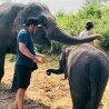 Tours éticos y ecológicos | interactuar con elefantes en Chiang Mai