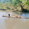 Tours éticos y ecológicos | interactuar con elefantes en Chiang Mai
